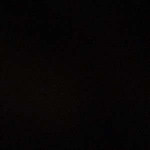 Meet your Posher, Rayna